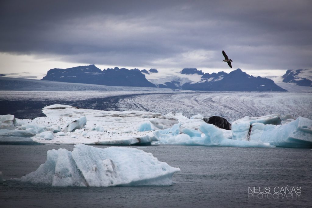 Laguna glaciar de Jokulsarlon en el sur de Islandia. ©Neus Cañas.