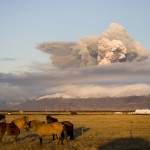 El caballo islandés, Equitación en Islandia